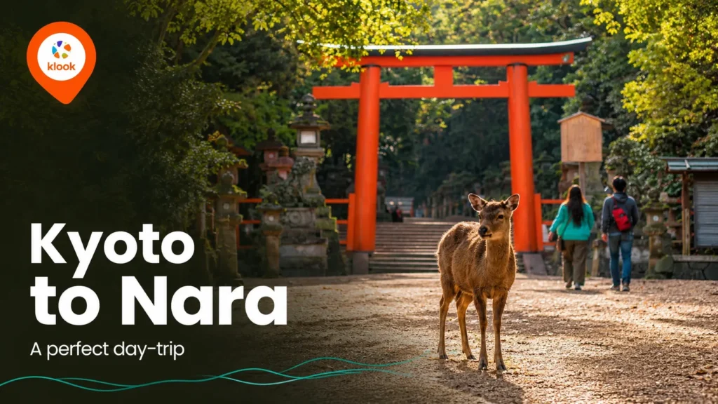 Kyoto to Nara