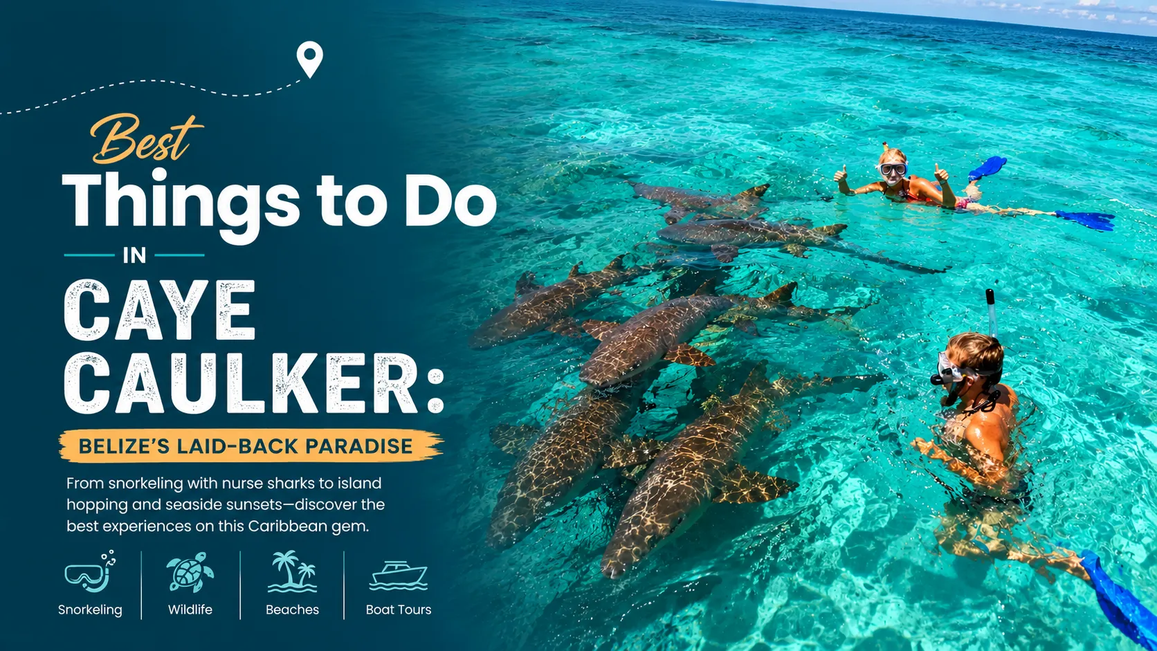Best Things to Do in Caye Caulker: Swim WITH Sharks